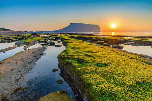 【台灣虎航】暢遊濟州5日