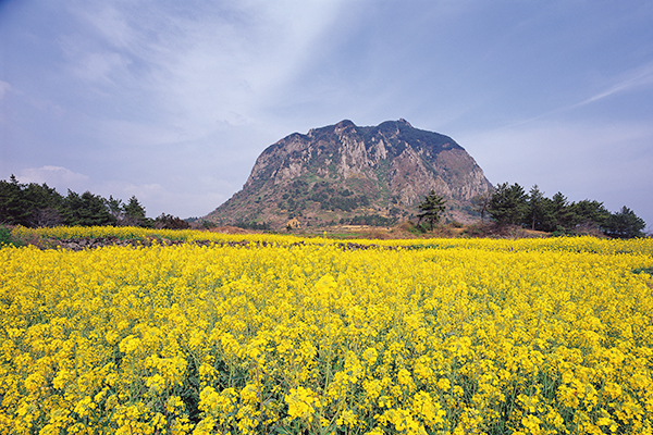 【台灣虎航】輕鬆遊濟5日