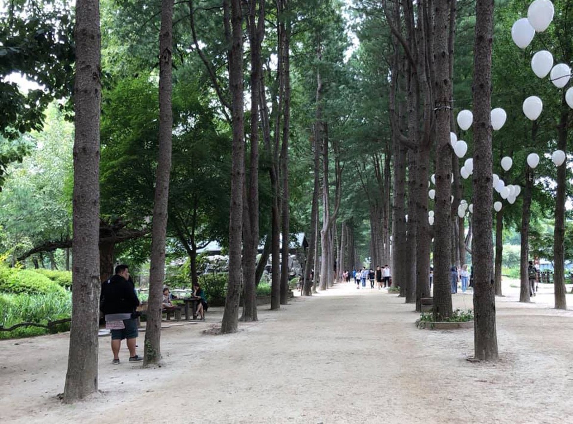 2024 中秋【My Korea】漫遊首爾四日